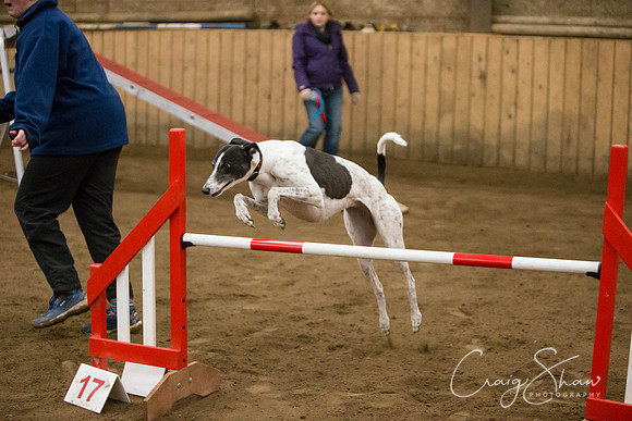 SpringFling2013-492_bluplanetphoto