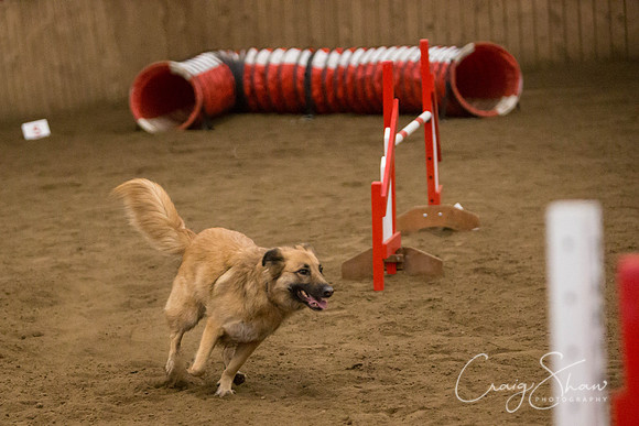 SpringFling2013-508_bluplanetphoto