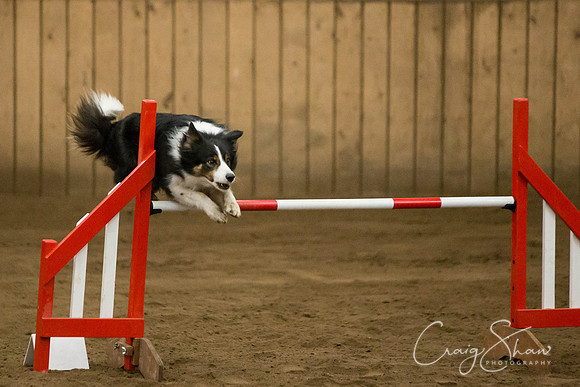 SpringFling2013-526_bluplanetphoto