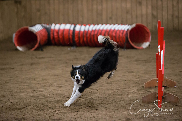 SpringFling2013-527_bluplanetphoto