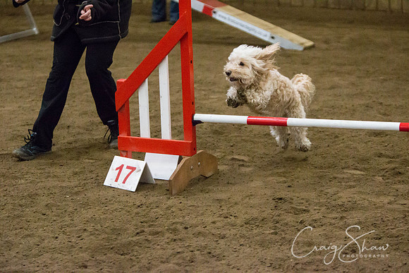 SpringFling2013-559_bluplanetphoto