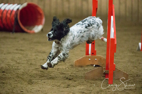 SpringFling2013-578_bluplanetphoto