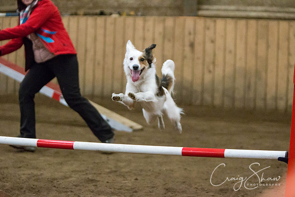 SpringFling2013-605_bluplanetphoto