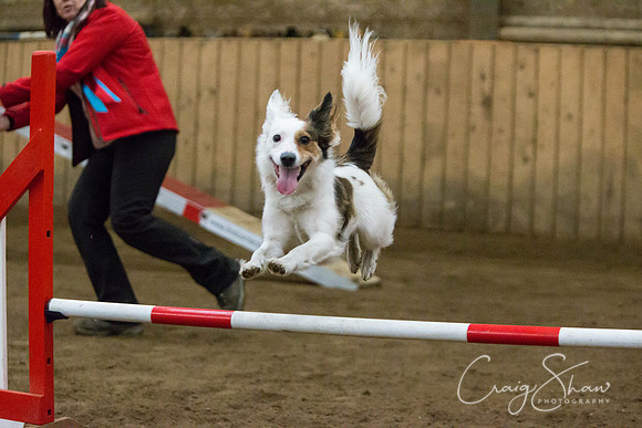 SpringFling2013-606_bluplanetphoto