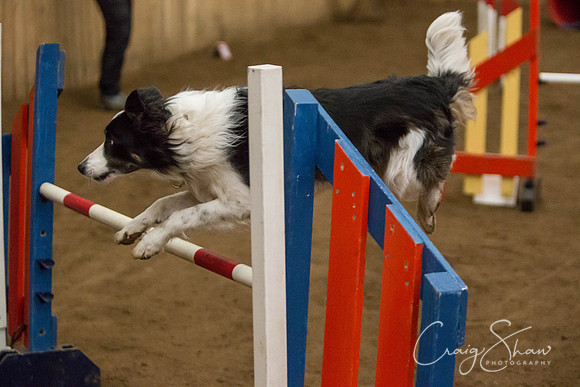 SpringFling2013-613_bluplanetphoto