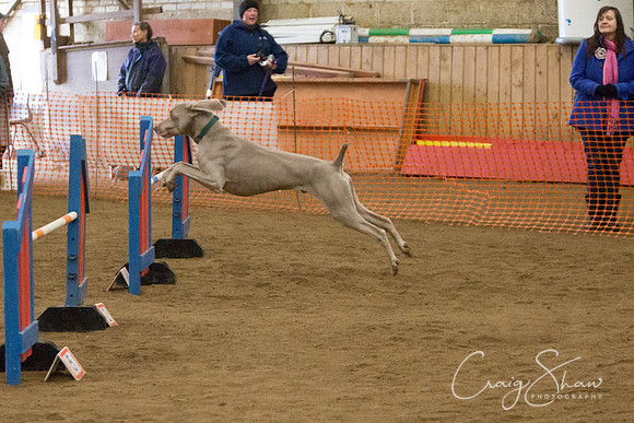 SpringFling2013-616_bluplanetphoto