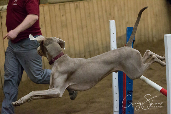 SpringFling2013-637_bluplanetphoto