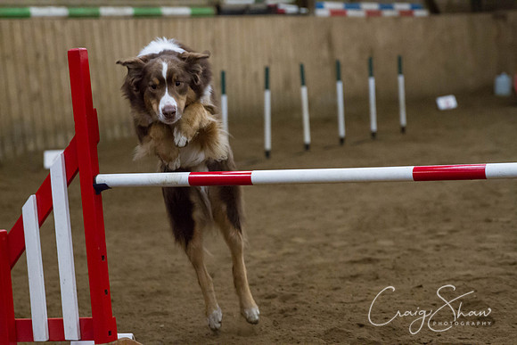 SpringFling2013-638_bluplanetphoto