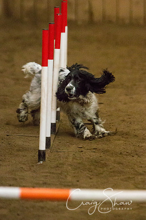 SpringFling2013-659_bluplanetphoto