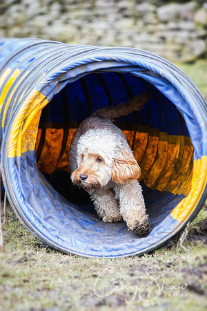 SpringFling2013-748_bluplanetphoto-Edit