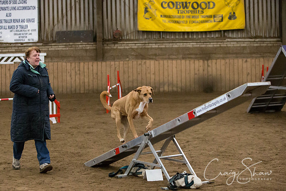SpringFling2013-758_bluplanetphoto