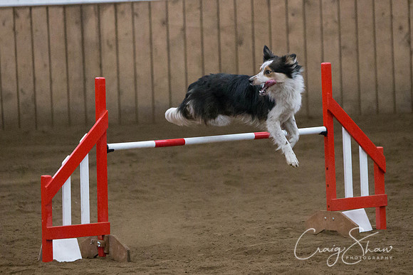 SpringFling2013-803_bluplanetphoto
