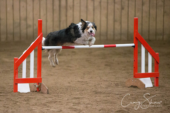 SpringFling2013-805_bluplanetphoto
