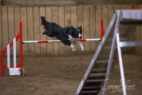 SpringFling2013-838_bluplanetphoto