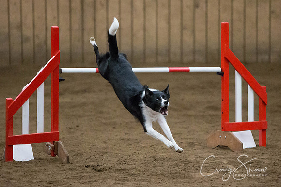 SpringFling2013-840_bluplanetphoto