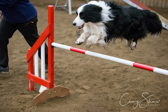 SpringFling2013-860_bluplanetphoto