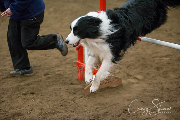 SpringFling2013-862_bluplanetphoto