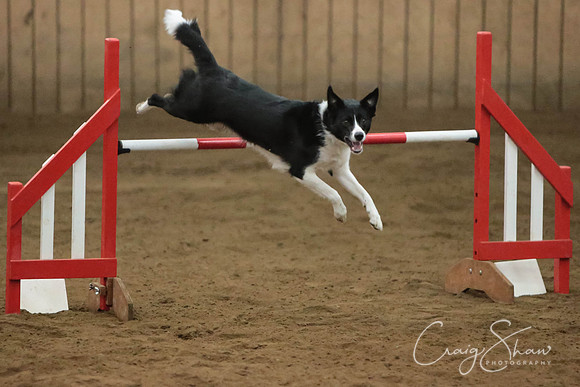 SpringFling2013-875_bluplanetphoto