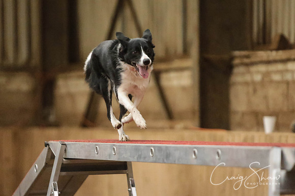 SpringFling2013-880_bluplanetphoto