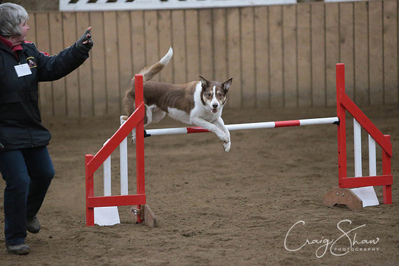 SpringFling2013-887_bluplanetphoto