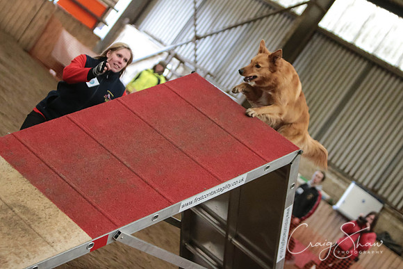 SpringFling2013-921_bluplanetphoto