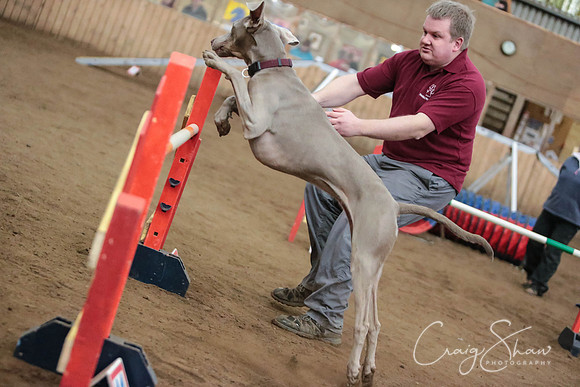 SpringFling2013-948_bluplanetphoto