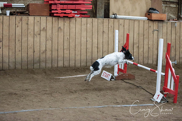 SpringFling2013-962_bluplanetphoto