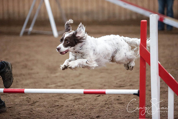 SpringFling2013-974_bluplanetphoto