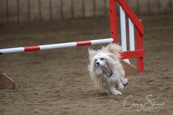SpringFling2013-1010_bluplanetphoto