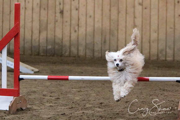 SpringFling2013-1013_bluplanetphoto