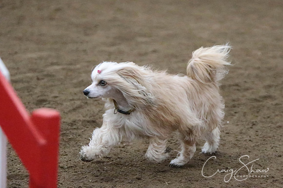 SpringFling2013-1014_bluplanetphoto