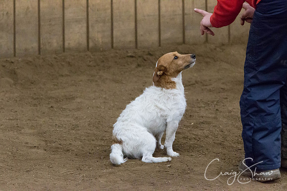 SpringFling2013-1015_bluplanetphoto