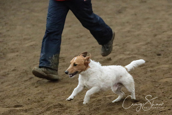 SpringFling2013-1026_bluplanetphoto