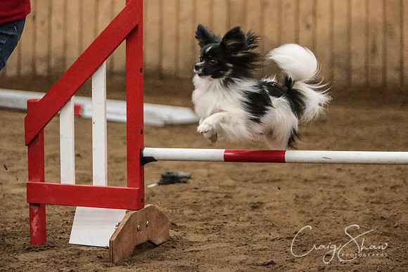 SpringFling2013-1032_bluplanetphoto