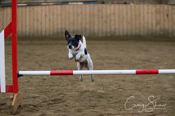 SpringFling2013-1049_bluplanetphoto