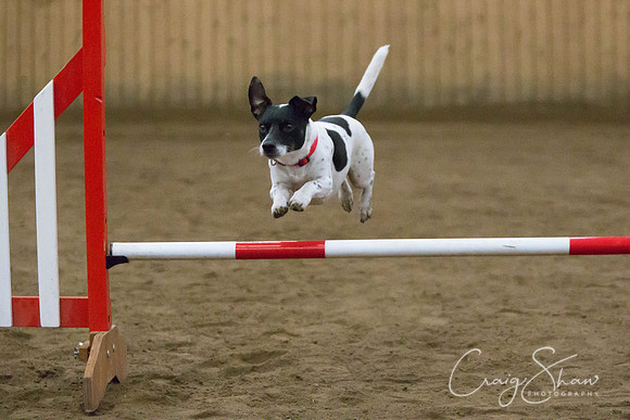 SpringFling2013-1050_bluplanetphoto