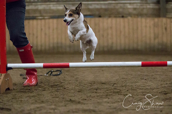 SpringFling2013-1052_bluplanetphoto