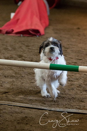 SpringFling2013-1062_bluplanetphoto