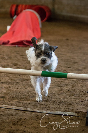 SpringFling2013-1063_bluplanetphoto