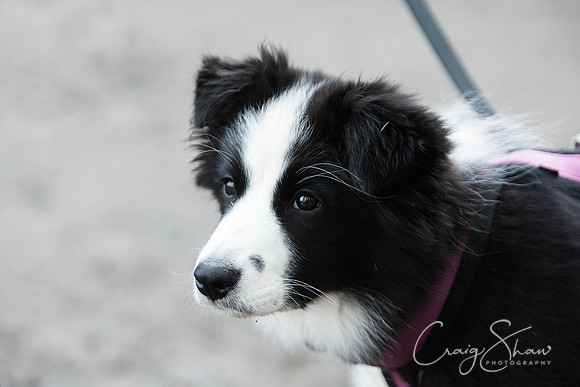 SpringFling2013-1071_bluplanetphoto-Edit-Edit