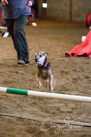 SpringFling2013-1075_bluplanetphoto