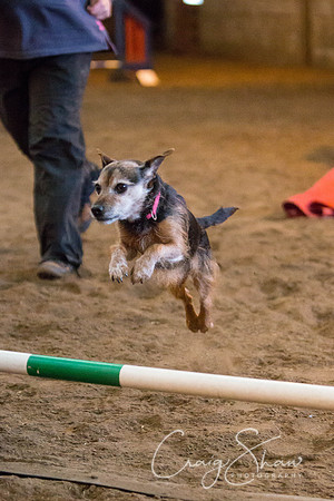 SpringFling2013-1076_bluplanetphoto