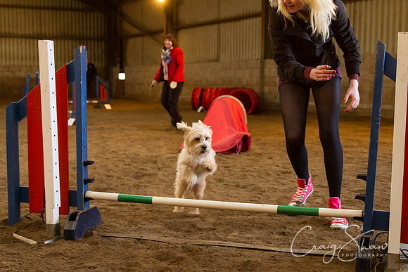 SpringFling2013-1103_bluplanetphoto