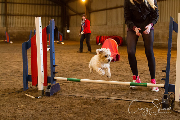 SpringFling2013-1104_bluplanetphoto