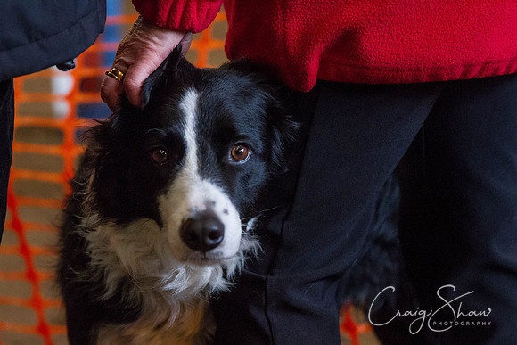 SpringFling2013-1107_bluplanetphoto