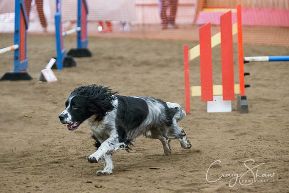 SpringFling2013-309_bluplanetphoto-Edit