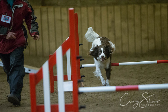 2881_springfling2015_bluplanetphoto