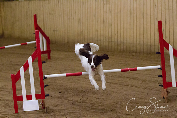 spring fling 2012-687