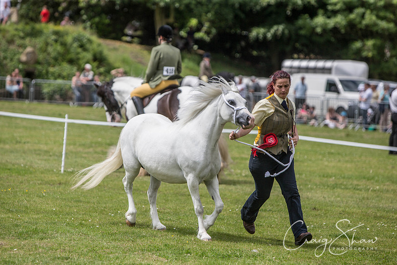 574_TodAgriculturalShow2014__bluplanetphoto