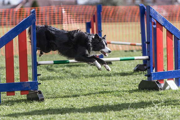 2131__SpringersFunDay_March2014_bluplanetphoto